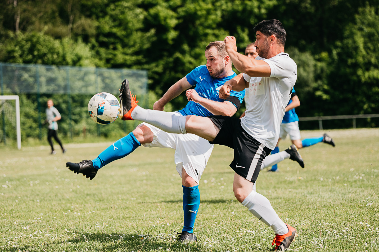 Kreisoberliga: TSG Fürstenhagen – SG Meißner | 2022